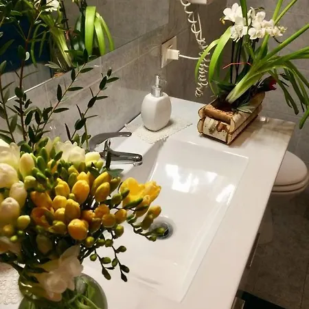 Vesuvio House Indipendente E Bed & Breakfast 4*