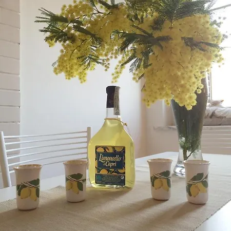 Vesuvio House Indipendente E Bed & Breakfast *