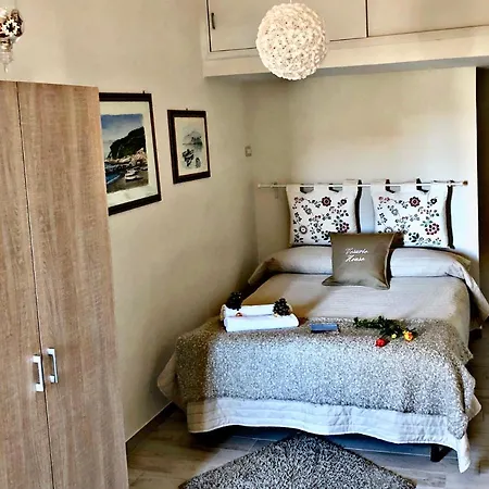 فندق مبيت وإفطار Vesuvio House Indipendente E سانتّانييلّو