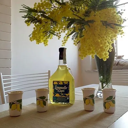 Vesuvio House Indipendente E Bed & Breakfast Sant'Agnello